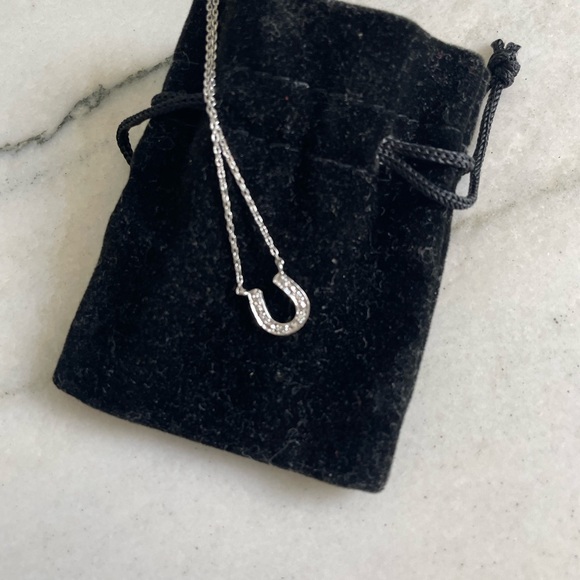 ‘Carrie Bradshaw’ horseshoe necklace - Picture 3 of 4